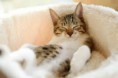 /album/fenykepgaleria/images-4-jpg/